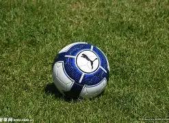 世界冠军加,备战,巴黎冠军赛,易币付app,易币付网页版,易币付app官网下载